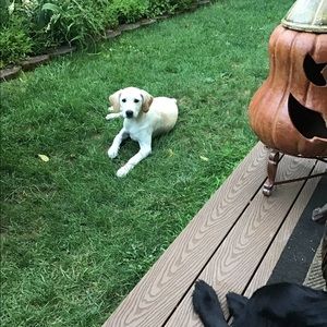 Meet your Posher, Deborah